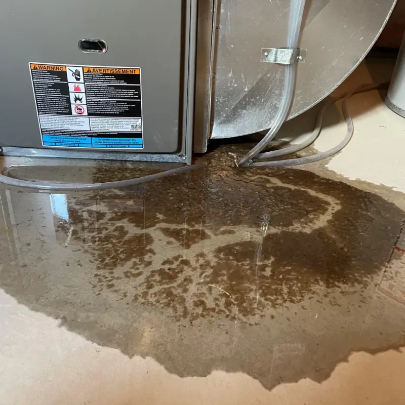 Appliance Leak Cleanup in Greenlee County, AZ